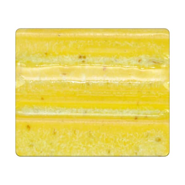 Texture Leopard 1172