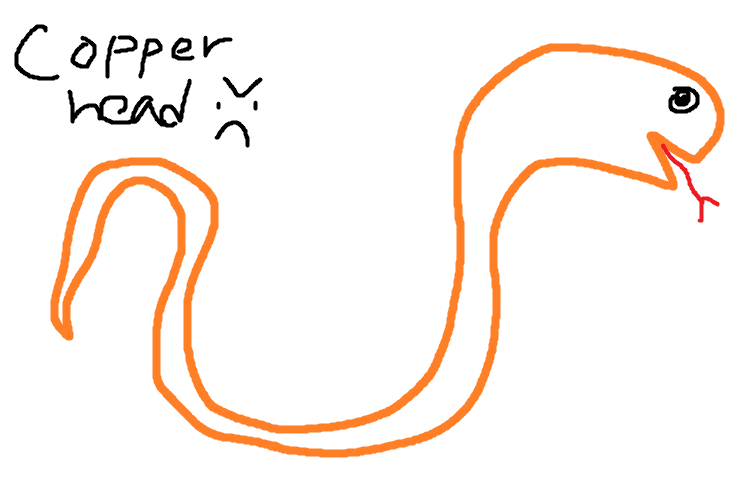 Copperhead