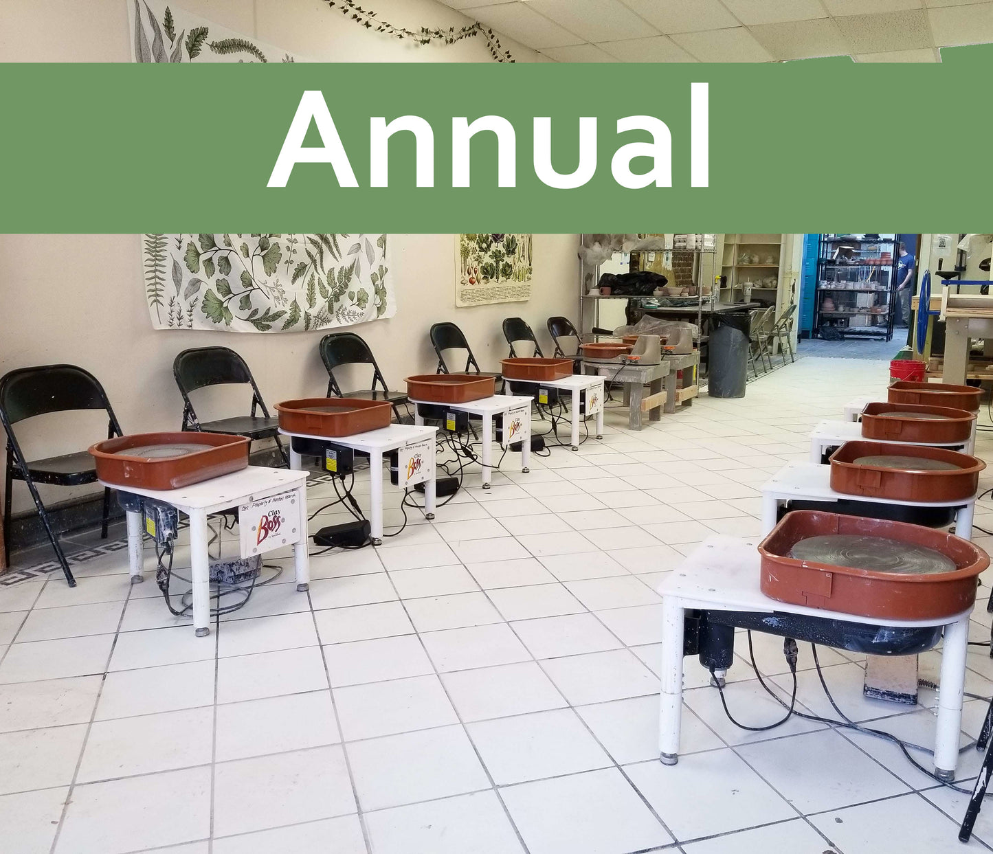 Annual Studio Membership