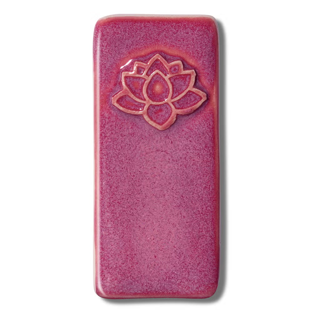 Raspberry Fizz