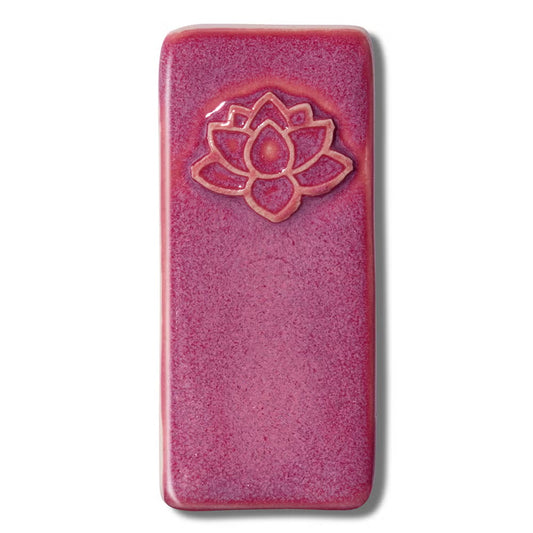 Raspberry Fizz