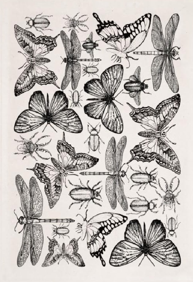 Underglaze Transfer Papers