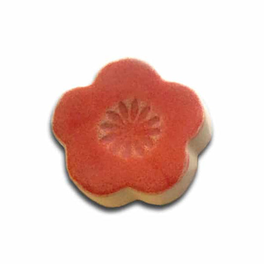 1401 Cherry Salmon