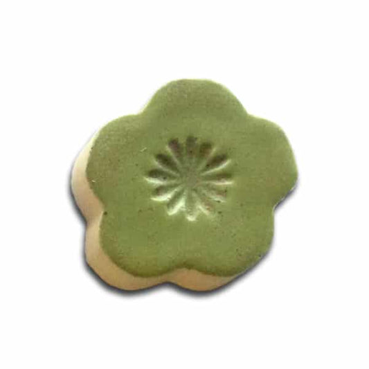 1404 Wasabi