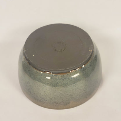 Blue Speckled Bowl